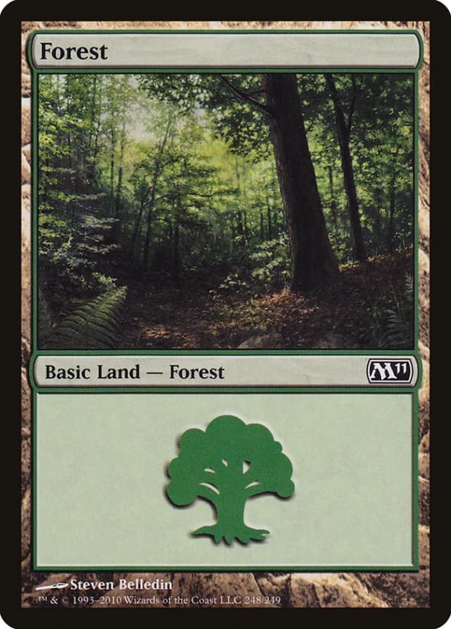 Forest image