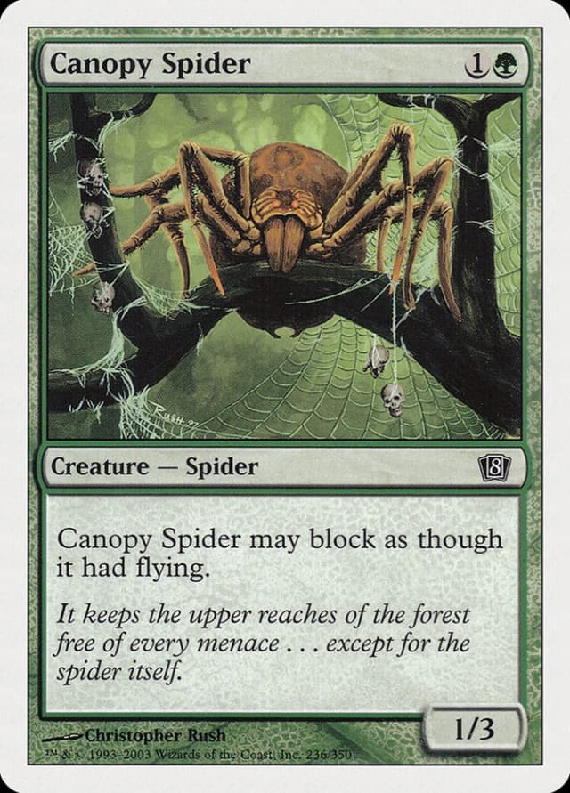 Canopy Spider image