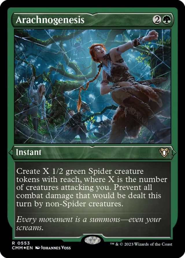Arachnogenesis image
