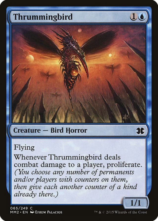 Thrummingbird image