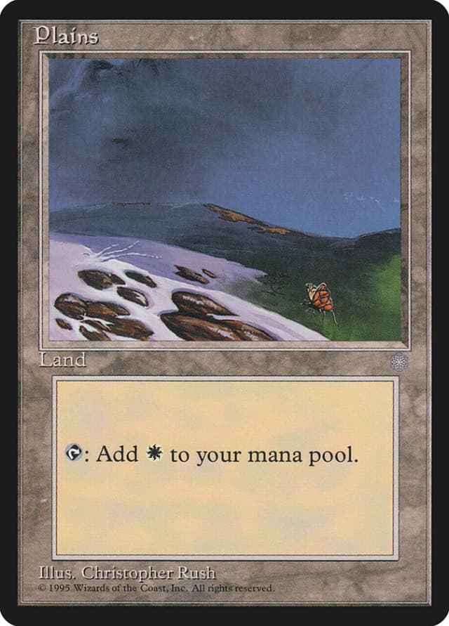 Plains image