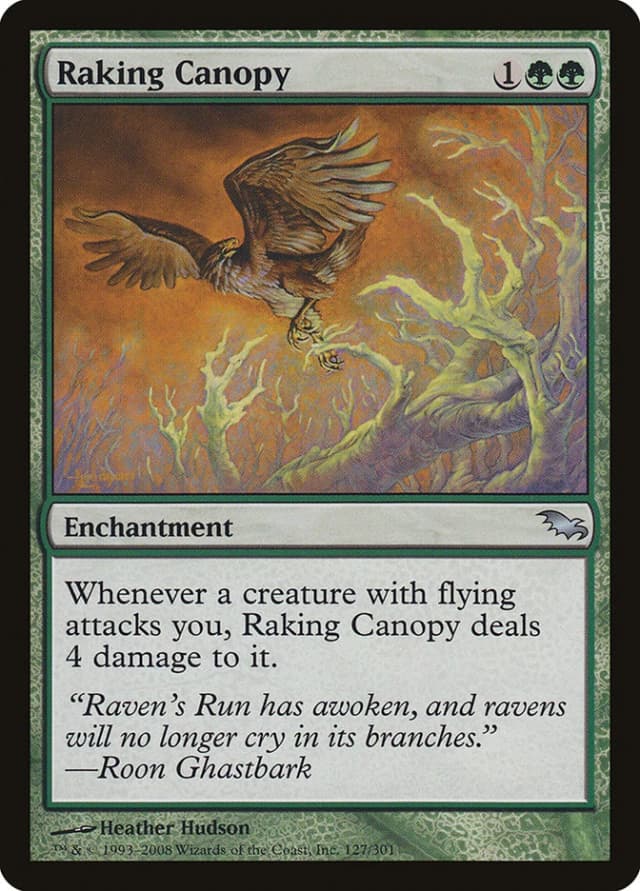 Raking Canopy image