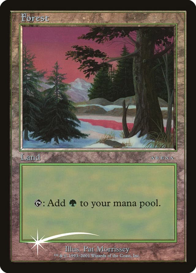 Forest image