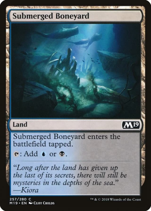 Submerged Boneyard image