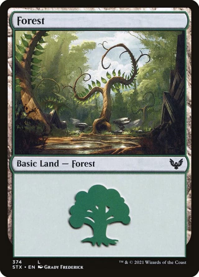 Forest image