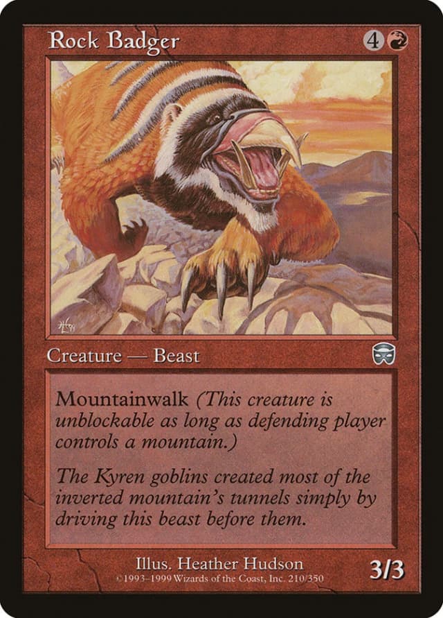 Rock Badger image