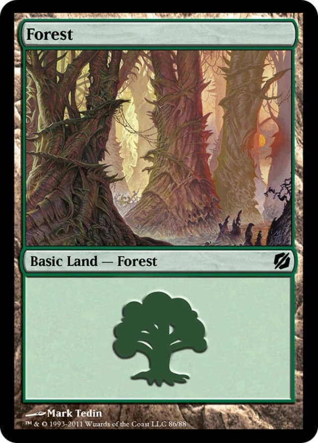 Forest image