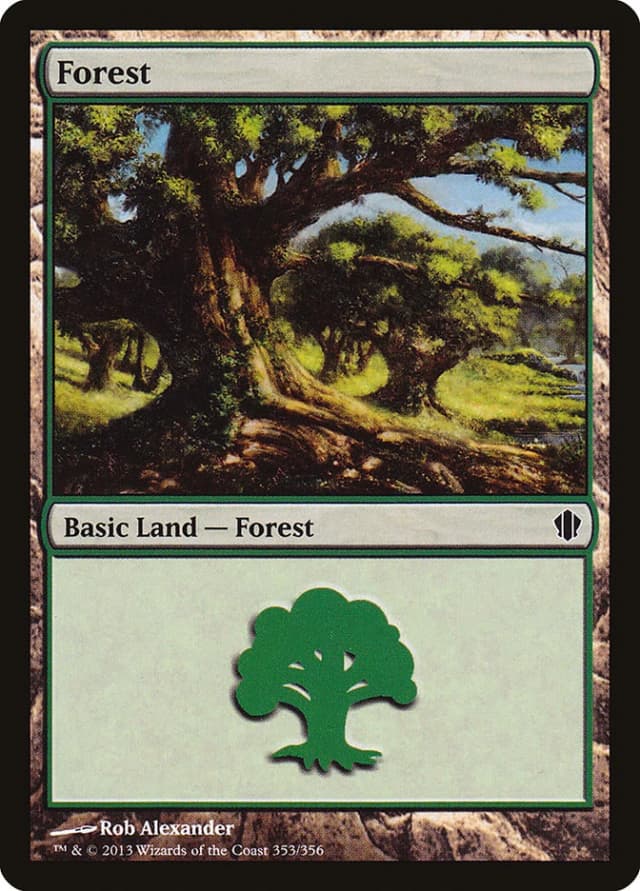 Forest image