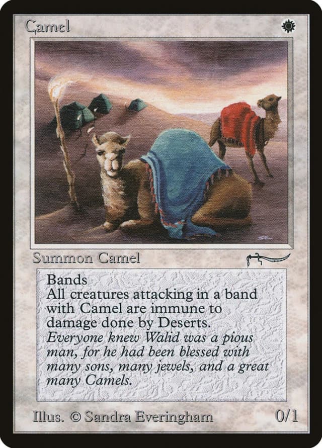 Camel image