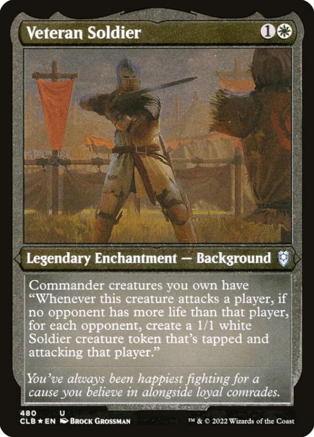 Veteran Soldier image