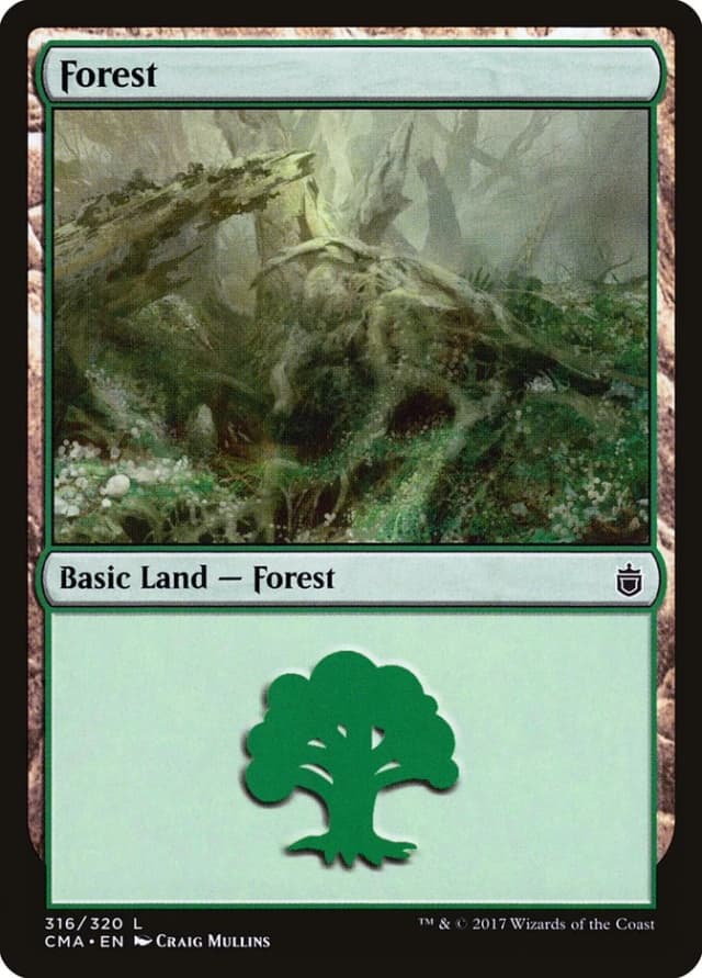 Forest image