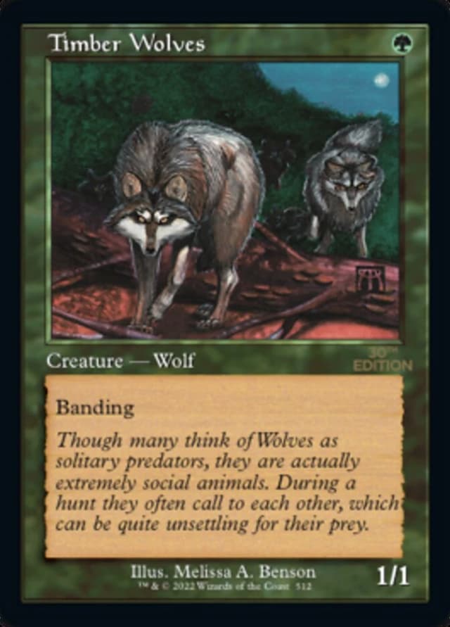 Timber Wolves image