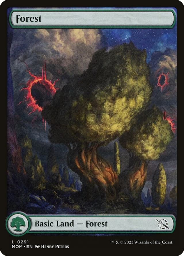 Forest image