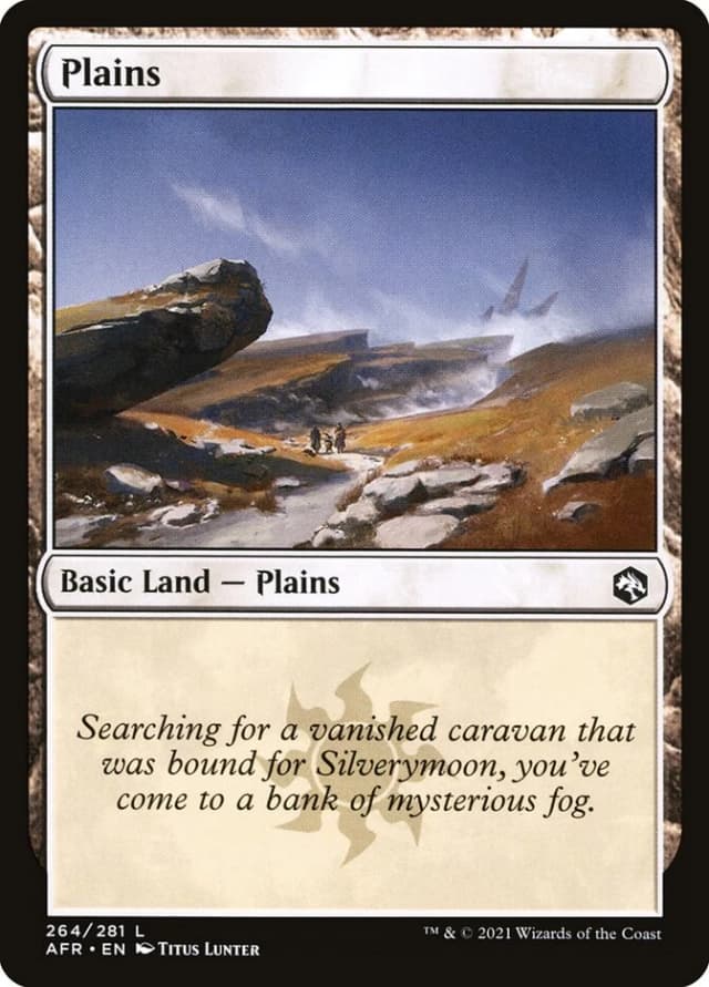 Plains image