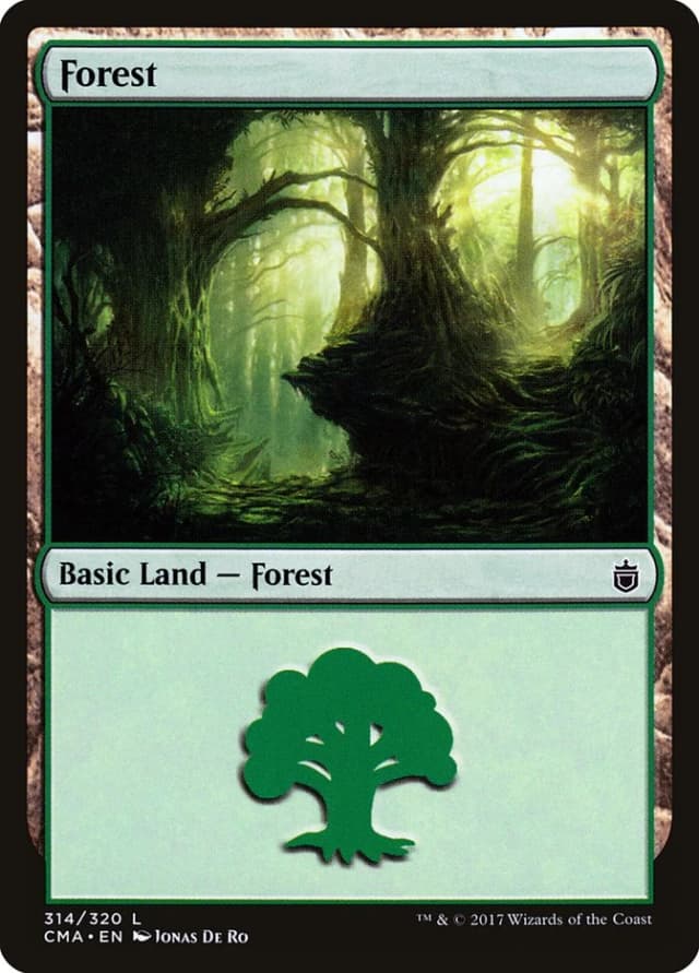Forest image