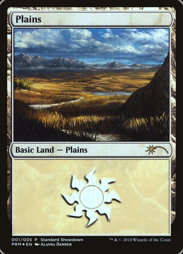 Plains image