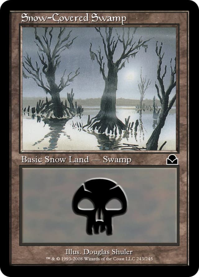 Snow-Covered Swamp image