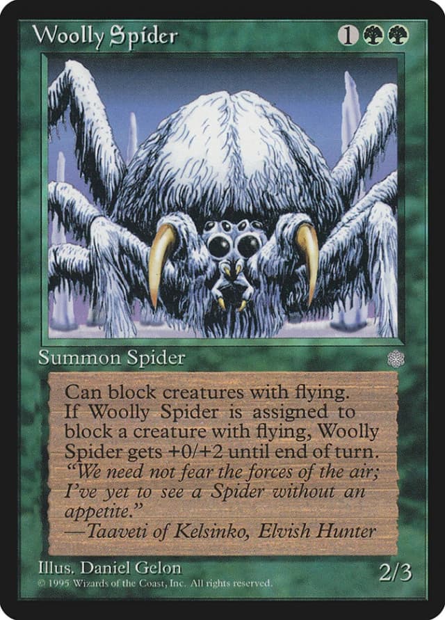 Woolly Spider image