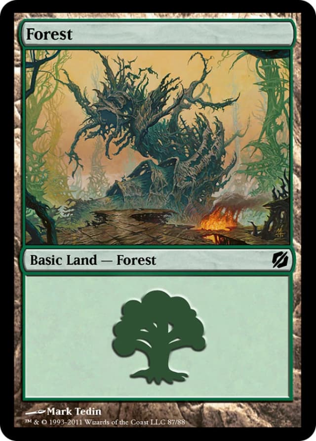 Forest image