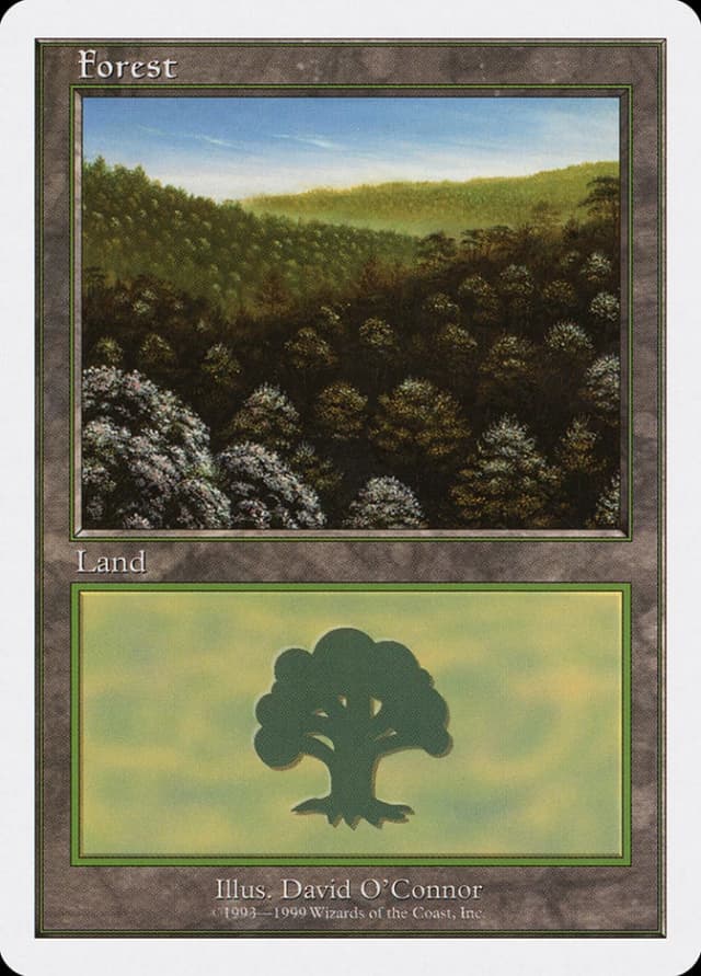 Forest image