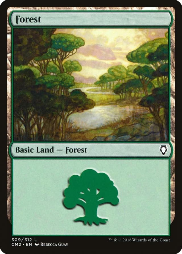 Forest image