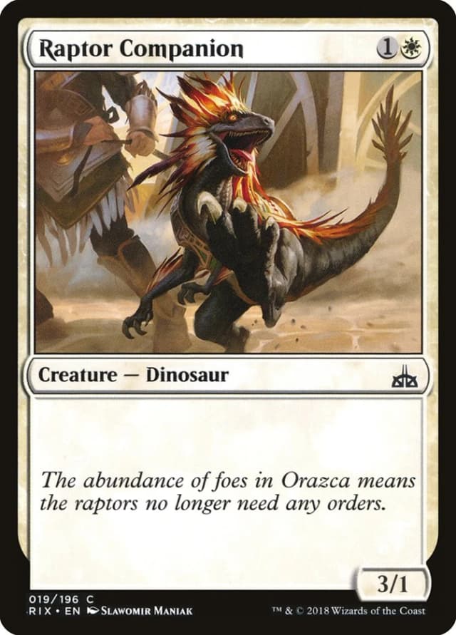 Raptor Companion image