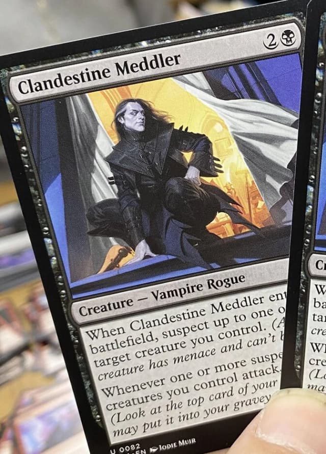 Clandestine Meddler image