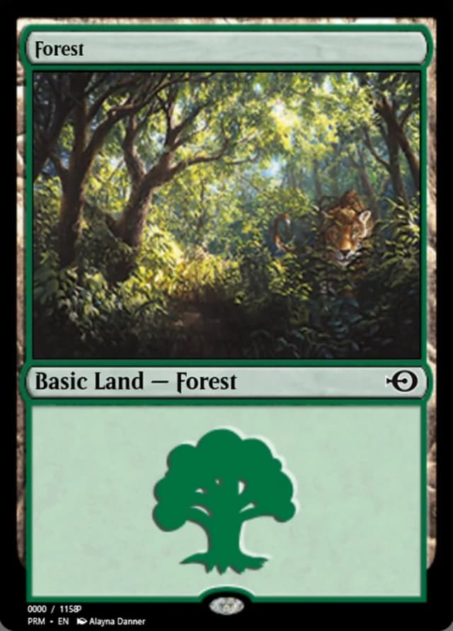 Forest image