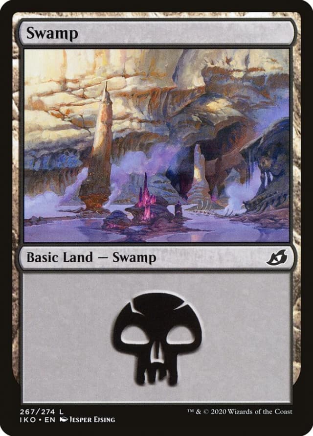 Swamp image