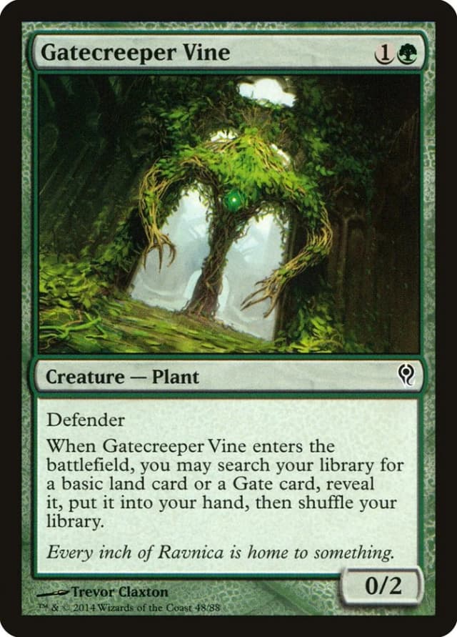 Gatecreeper Vine image