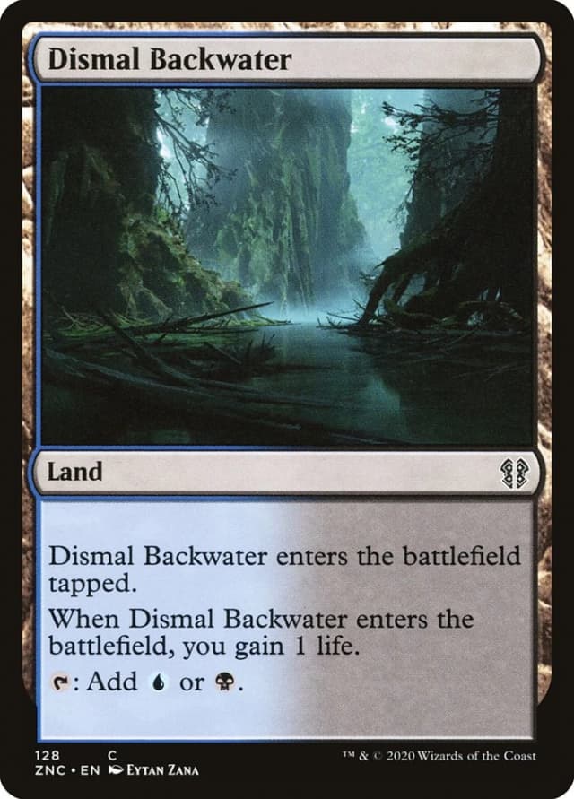Dismal Backwater image