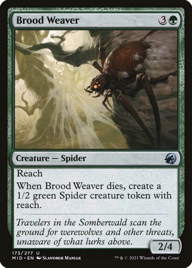 Brood Weaver image