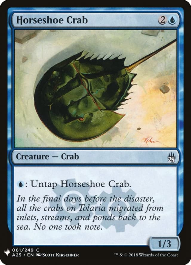 Horseshoe Crab image