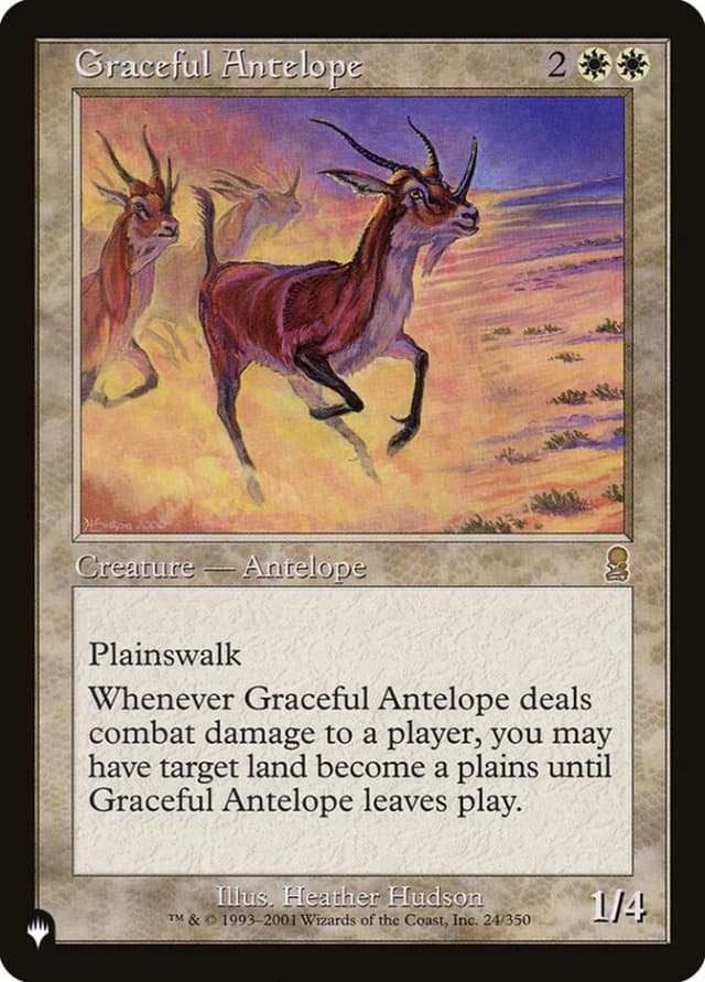 Graceful Antelope image