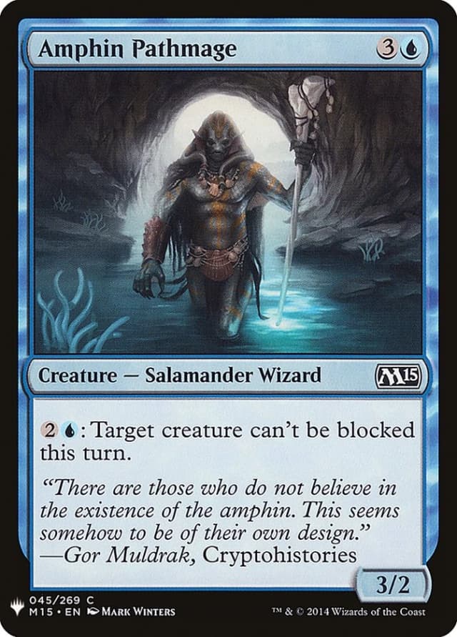 Amphin Pathmage image