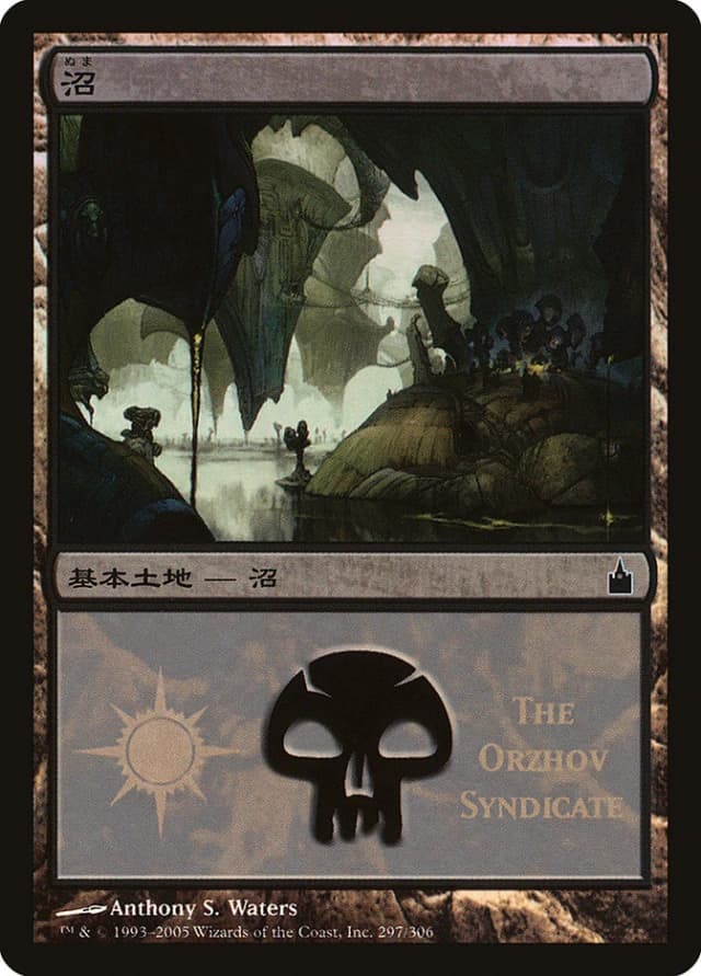 Swamp image