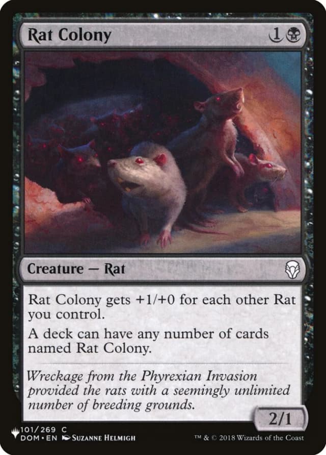 Rat Colony image