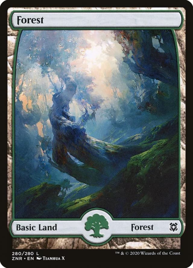 Forest image