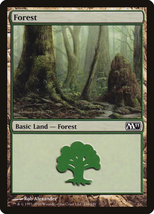 Forest image