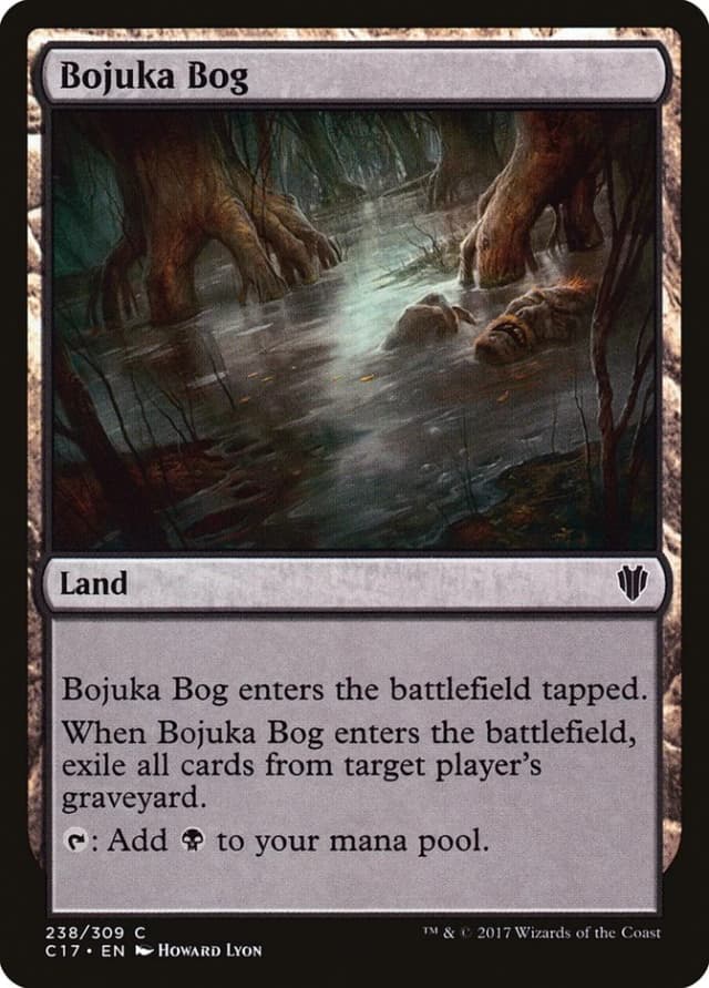 Bojuka Bog image