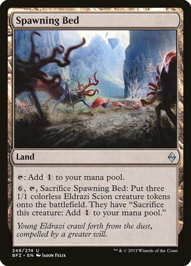 Spawning Bed image