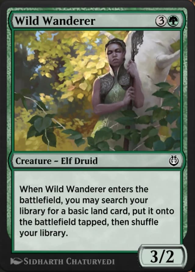 Wild Wanderer image