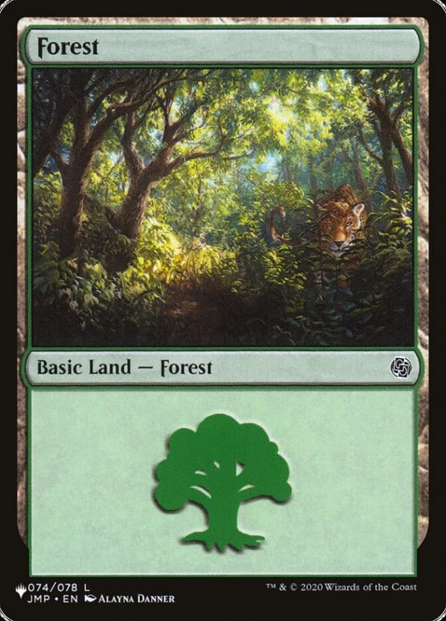 Forest image