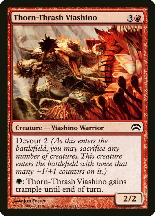 Thorn-Thrash Viashino image