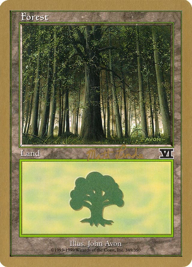 Forest image