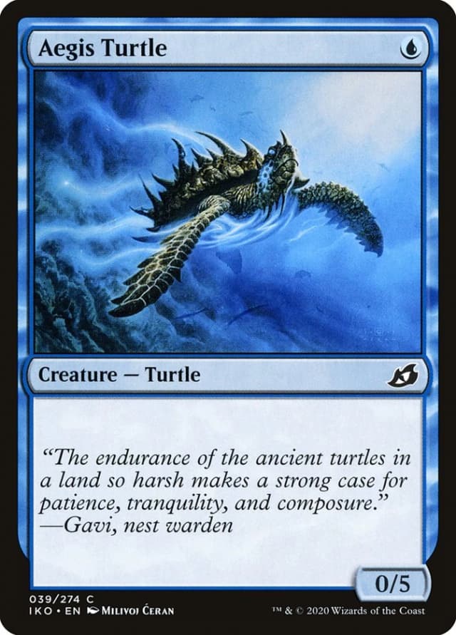 Aegis Turtle image