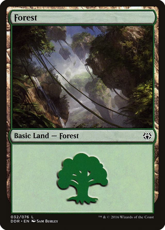 Forest image