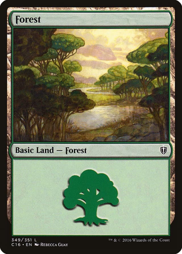 Forest image