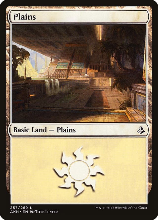 Plains image