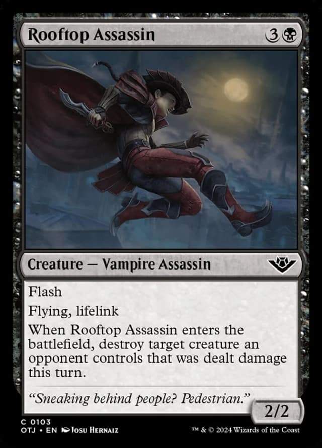 Rooftop Assassin image